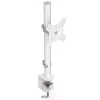 Monitorikinnitus ENDORFY Atlas kuni 27-tollistele (68,6 cm) kuvaritele, klambriga lauakinnitus, VESA 75x75–100x100, max koormus 8 kg, valge
