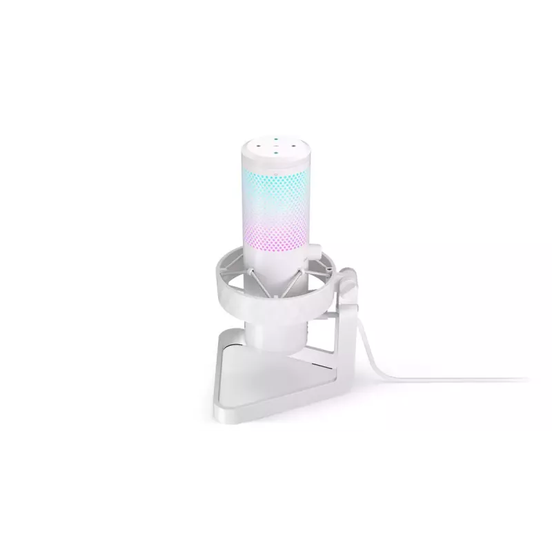 PC mikrofon ENDORFY AXIS Streaming Valge — USB, kardioidne, 30–18 kHz, 192 kHz/24 bit, lauaalus, summutamine, kõrvaklappide väljund