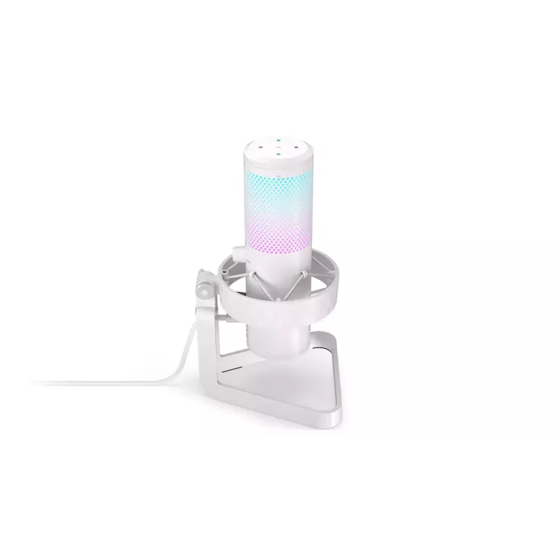 PC mikrofon ENDORFY AXIS Streaming Valge — USB, kardioidne, 30–18 kHz, 192 kHz/24 bit, lauaalus, summutamine, kõrvaklappide väljund