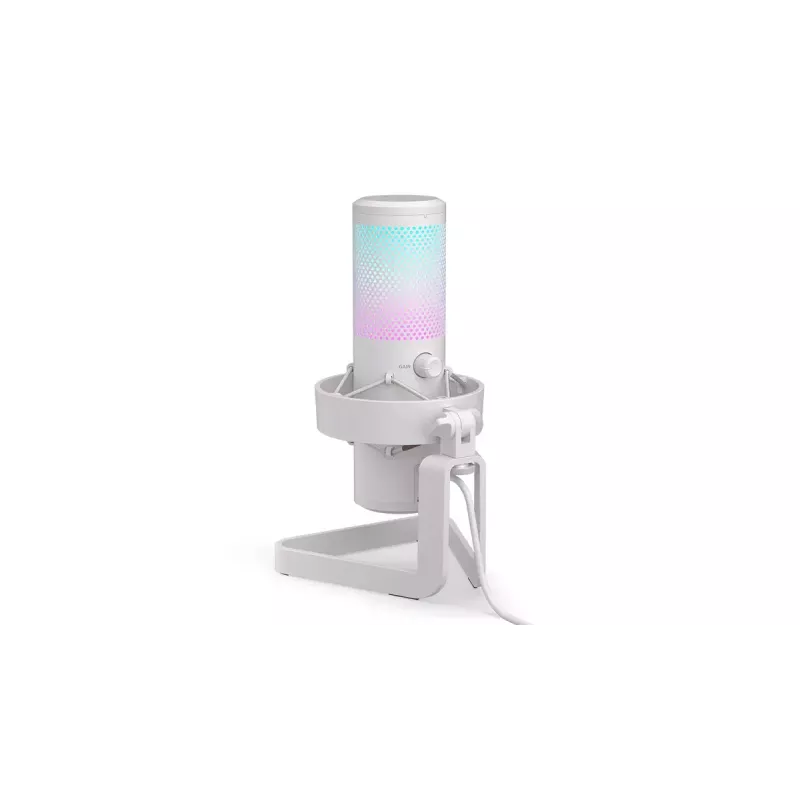 PC mikrofon ENDORFY AXIS Streaming Valge — USB, kardioidne, 30–18 kHz, 192 kHz/24 bit, lauaalus, summutamine, kõrvaklappide väljund