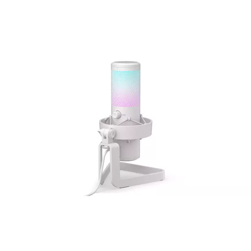 PC mikrofon ENDORFY AXIS Streaming Valge — USB, kardioidne, 30–18 kHz, 192 kHz/24 bit, lauaalus, summutamine, kõrvaklappide väljund