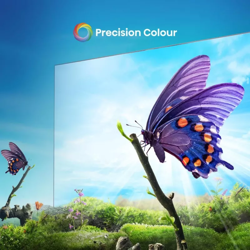 Hisense E6NT 165,1 cm (65 tolli) 4K Ultra HD nutiteler Wi-Fi must 300 cd/m²