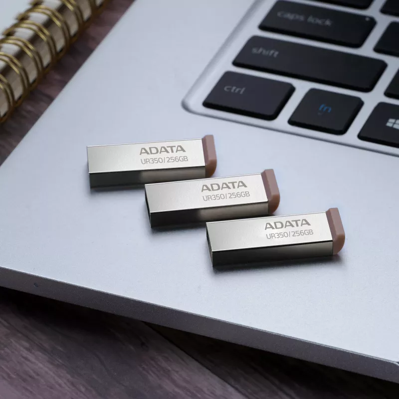 ADATA UR350 USB-mälupulk 256 GB USB Type-A 3.2 Gen 1 (3.1 Gen 1) Must, Hõbedane