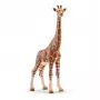 Kujuke, Schleich, WILD LIFE Kaelkirjak, emane