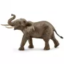 schleich WILD LIFE Aafrika elevant, isane, 3 aastat, Safari, Metsloomad / seiklusmänguasjad, Mitmevärviline, Plastik, 1 tk