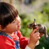 schleich WILD LIFE Aafrika elevant, isane, 3 aastat, Safari, Metsloomad / seiklusmänguasjad, Mitmevärviline, Plastik, 1 tk