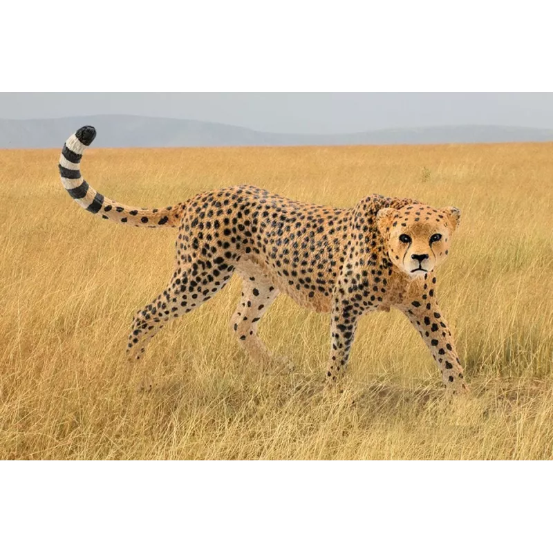 Figuur Schleich WILD LIFE Emane gepard 14746