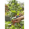 Gardena VeggieCut oksakäärid mustad rohelised roostevabast terasest terad