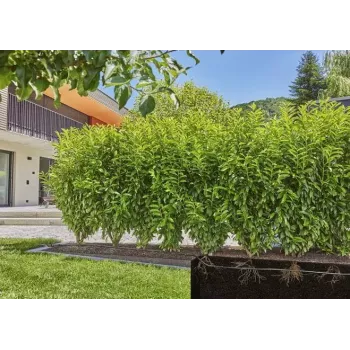 Tilkkastmissüsteem Gardena 13500-20