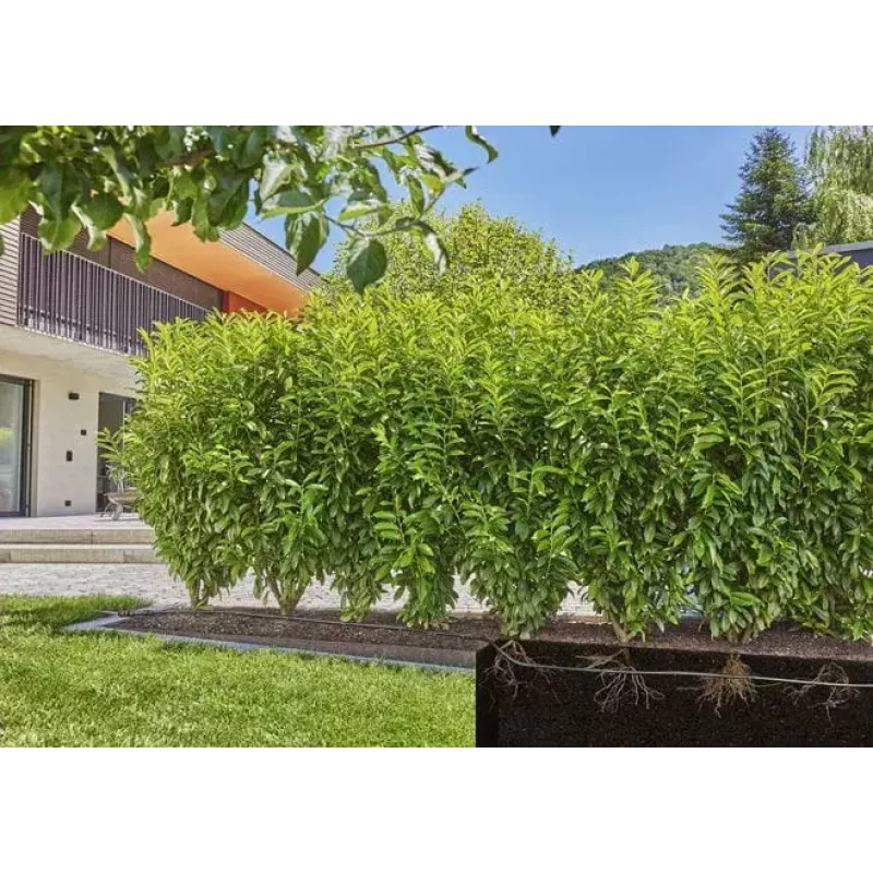 Tilkkastmissüsteem Gardena 13500-20