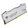Patriot Viper Gaming RGB XTREME 5 DDR5-8000 RAM, CL 38, Intel XMP 3.0 - 32GB Dual-Kit, silber