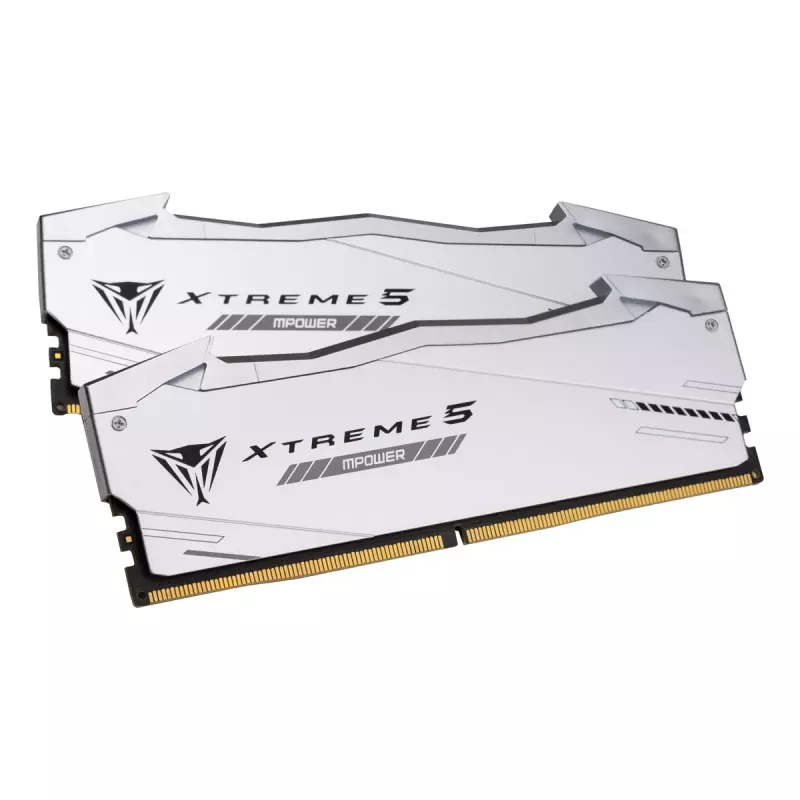 Patriot Viper Gaming RGB XTREME 5 DDR5-8000 RAM, CL 38, Intel XMP 3.0 - 32GB Dual-Kit, silber