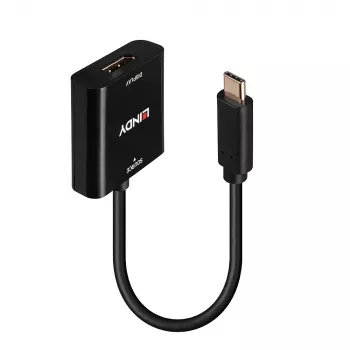 Lindy USB Type C to DisplayPort 4K144 muundur, USB USB-C, DisplayPort väljund, 3840 x 2160 pikslit