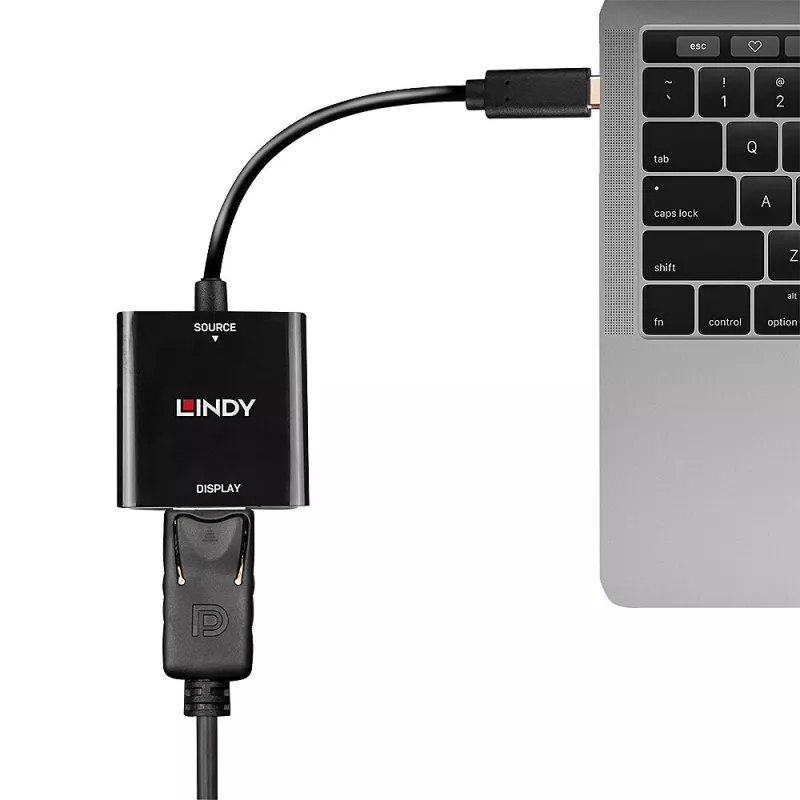 Lindy USB Type C to DisplayPort 4K144 muundur, USB USB-C, DisplayPort väljund, 3840 x 2160 pikslit