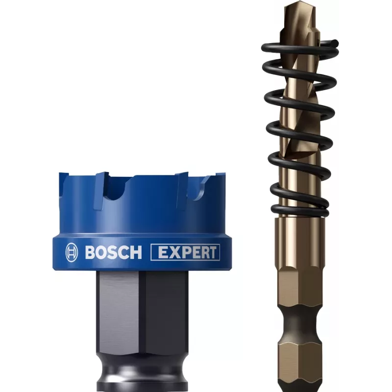 Bosch Expert 2608900496 puur-aukusaag 1 tk