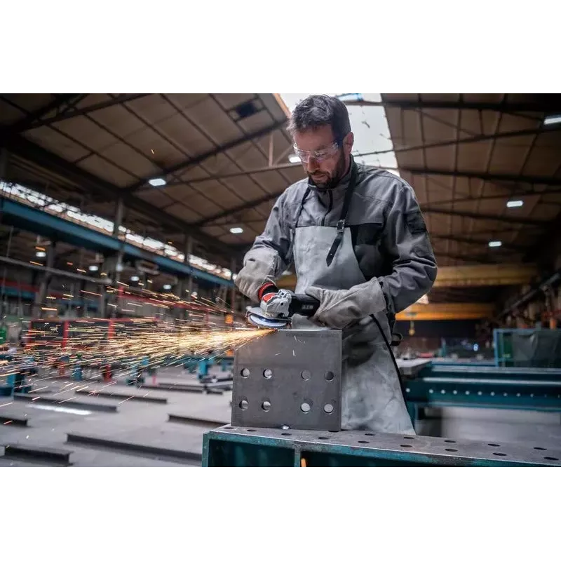 Bosch GWX 17-125 PSB nurklihvija 12,5 cm 11500 p/min 1700 W 2,3 kg