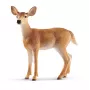 Figuur Schleich WILD LIFE Valge-saba hirv