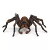 schleich Harry Potter Aragog, 6 eluaastat, Maagilised olendid, Must, Pruun, Valge, Plastik