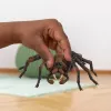 schleich Harry Potter Aragog, 6 eluaastat, Maagilised olendid, Must, Pruun, Valge, Plastik