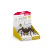 schleich Harry Potter Aragog, 6 eluaastat, Maagilised olendid, Must, Pruun, Valge, Plastik