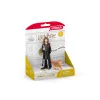Figuur Schleich Hermione Granger & Crookshanks Mitmevärviline 42635