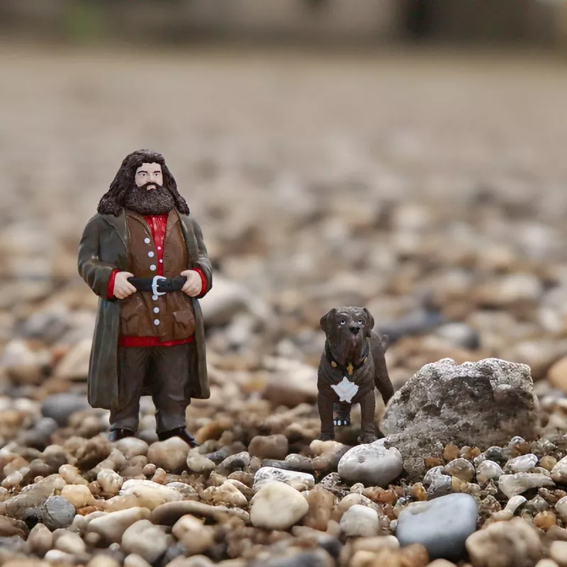 schleich Hagrid & Fang, 6 a, Harry Potter™, Mitmevärviline, Plastik