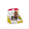 schleich Hagrid & Fang, 6 a, Harry Potter™, Mitmevärviline, Plastik