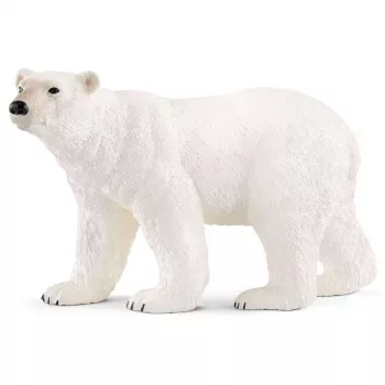 schleich WILD LIFE Jääkaru, 3 a, Ice & Ocean, Metsloomad / seiklusmänguasjad, Mitmevärviline, Plastik
