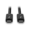 Lindy 1m Thunderbolt 4 kaabel, 40 Gbps, passiivne, isane, isane, 1 m, 40 Gbit/s, must, nikkel/kuld