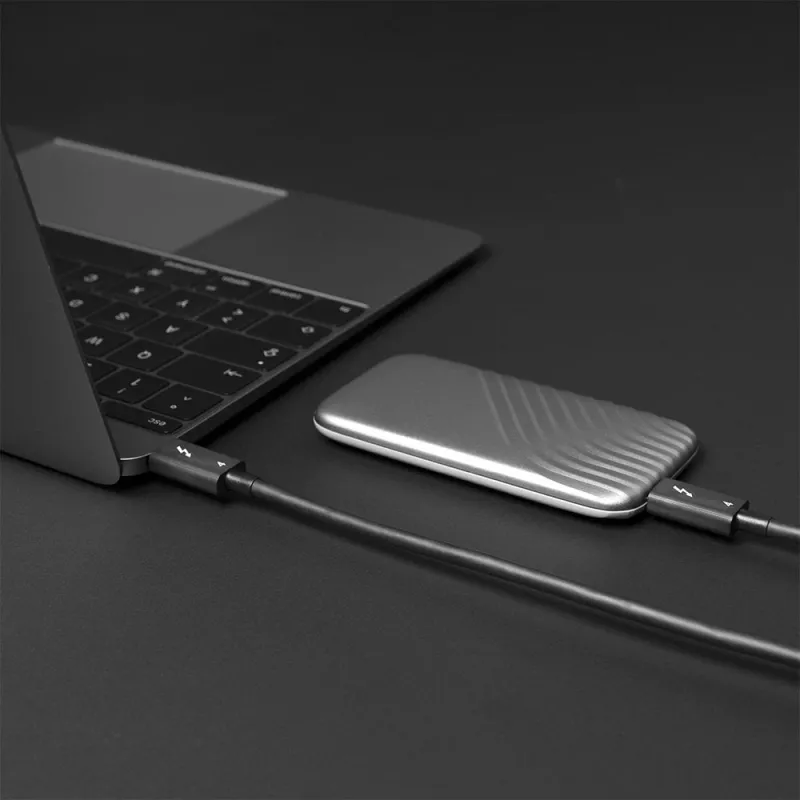Lindy 1m Thunderbolt 4 kaabel, 40 Gbps, passiivne, isane, isane, 1 m, 40 Gbit/s, must, nikkel/kuld