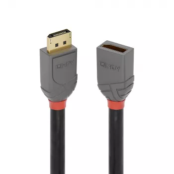 Lindy 1m DisplayPort 1.4 pikenduskaabel, Anthra Line, 1 m, DisplayPort, DisplayPort, isane, emane, 7680 x 4320 pikslit