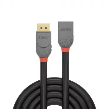 Lindy 1m DisplayPort 1.4 pikenduskaabel, Anthra Line, 1 m, DisplayPort, DisplayPort, isane, emane, 7680 x 4320 pikslit