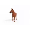 schleich FARM WORLD Belgia raskeveohobune, 3 a, Taluloomad / talumänguasjad, Hobused, Pruun, Plastik