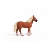 schleich FARM WORLD Belgia raskeveohobune, 3 a, Taluloomad / talumänguasjad, Hobused, Pruun, Plastik