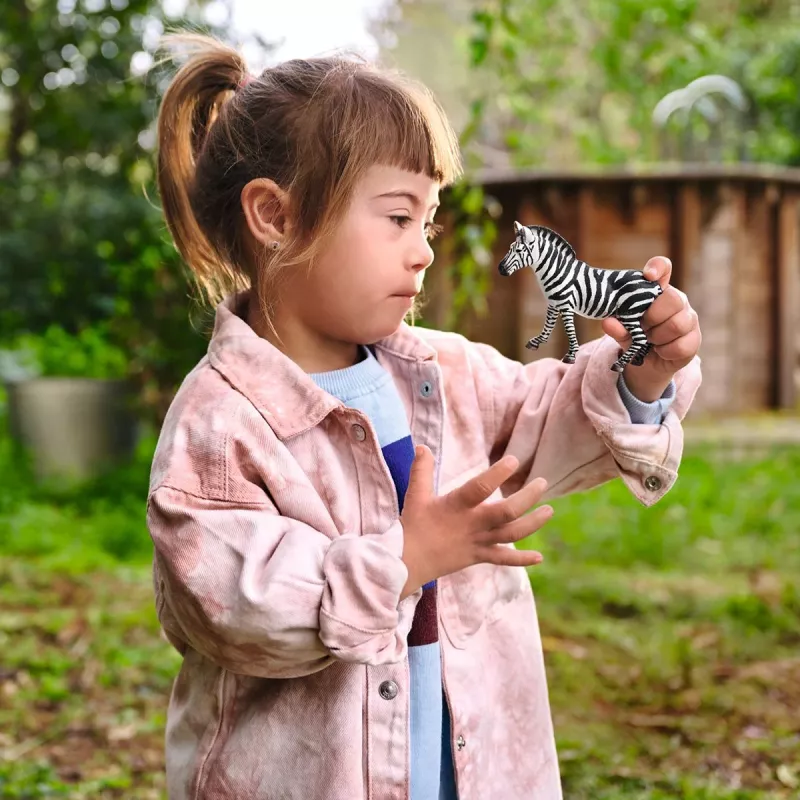 schleich WILD LIFE Sebra emane, 3 aastat, Safariteema, Metsloomad / seiklusmänguasjad, Mitmevärviline, Plastik, 1 tk