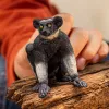Figure Schleich WILD LIFE Indri mitmevärviline 14877S Soovitatav vanus 3 aastat