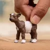 schleich FARM WORLD Kitseke, 3 a, Talu, Talu loomad / talumänguasjad, Mitmevärviline