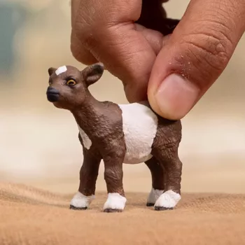 schleich FARM WORLD Kitseke, 3 a, Talu, Talu loomad / talumänguasjad, Mitmevärviline