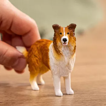 schleich FARM WORLD Collie, 3 a, Talu, Talu loomad / talumänguasjad, Mitmevärviline