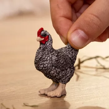 schleich FARM WORLD Plymouthi kana, 3 a, Talu, Taluloomad/talumänguasjad, Mitmevärviline