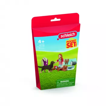 schleich HORSE CLUB Ööbimismängukomplekt Hannah'ga, loom, hobused, taskukomplektid, 5 a, mitmevärviline