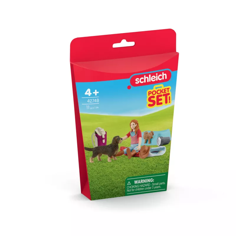 schleich HORSE CLUB Ööbimismängukomplekt Hannah'ga, loom, hobused, taskukomplektid, 5 a, mitmevärviline