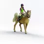 schleich HORSE CLUB Sarah & Mystery, 5 a, Hobused, Mitmevärviline