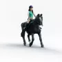 Schleich Horse Club Lisa & Storm mitmevärviline 42712