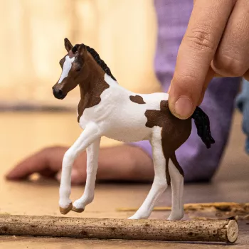schleich HORSE CLUB Paint Horse varss, 5 a, Hobused, Mitmevärviline