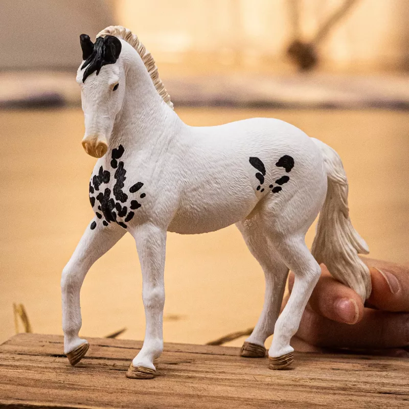 schleich HORSE CLUB Marwari täkk, 5 a, Hobused, Mitmevärviline