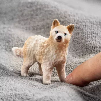 schleich WILD LIFE jäähundi poeg, 3 a, Ice & Ocean, Metsloomad / seiklusmänguasjad, Mitmevärviline