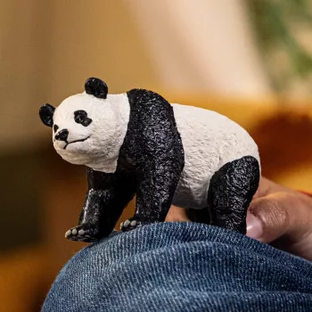 schleich WILD LIFE Hiidpanda, 3 a, Džungel, Metsloomad / seiklusmänguasjad, Mitmevärviline