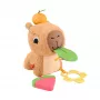 Mängukapybara Fisher-Price Snuggly Snacky Capy alates 0,5 eluaastast