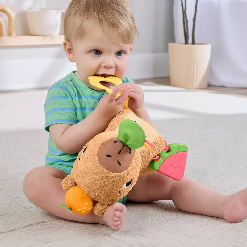Mängukapybara Fisher-Price Snuggly Snacky Capy alates 0,5 eluaastast